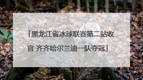 黑龙江省冰球联赛第二站收官 齐齐哈尔兰迪一队夺冠