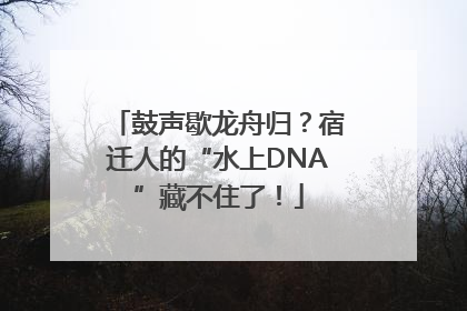 鼓声歇龙舟归？宿迁人的“水上DNA”藏不住了！