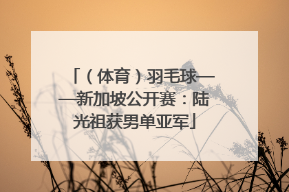 （体育）羽毛球——新加坡公开赛：陆光祖获男单亚军