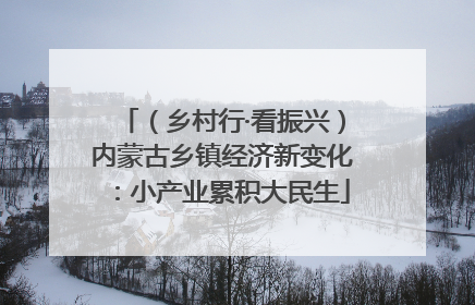 （乡村行·看振兴）内蒙古乡镇经济新变化：小产业累积大民生