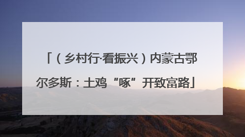 （乡村行·看振兴）内蒙古鄂尔多斯：土鸡“啄”开致富路