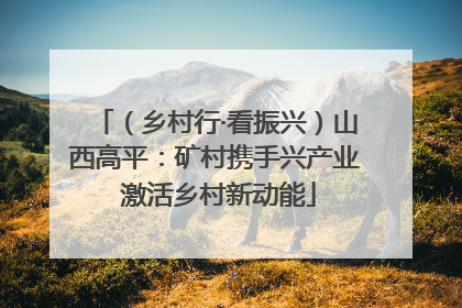 （乡村行·看振兴）山西高平：矿村携手兴产业 激活乡村新动能