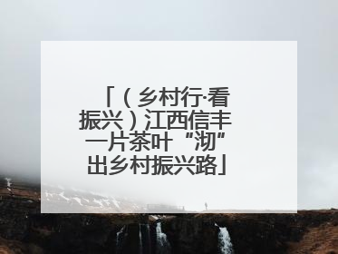 （乡村行·看振兴）江西信丰一片茶叶“沏”出乡村振兴路