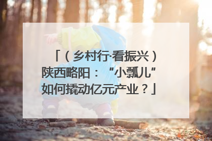 （乡村行·看振兴）陕西略阳：“小瓢儿”如何撬动亿元产业？