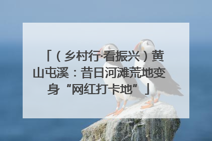 （乡村行·看振兴）黄山屯溪：昔日河滩荒地变身“网红打卡地”