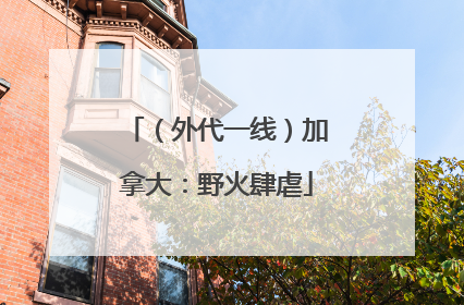 （外代一线）加拿大：野火肆虐