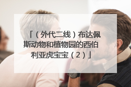 （外代二线）布达佩斯动物和植物园的西伯利亚虎宝宝（2）