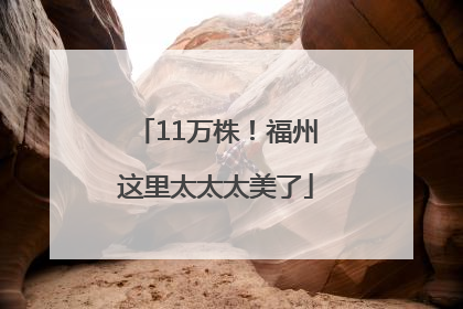 11万株！福州这里太太太美了