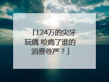 124万的尖牙玩偶 咬痛了谁的消费尊严？