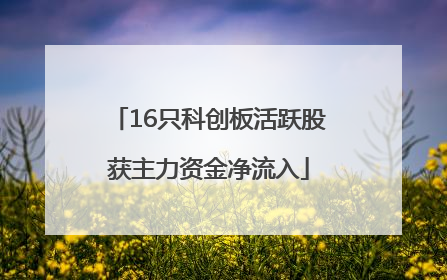 16只科创板活跃股获主力资金净流入