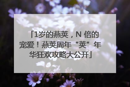 1岁的燕荚，N 倍的宠爱！燕荚周年“荚”年华狂欢攻略大公开