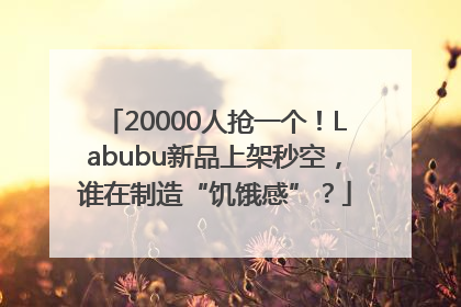 20000人抢一个！Labubu新品上架秒空，谁在制造“饥饿感”？
