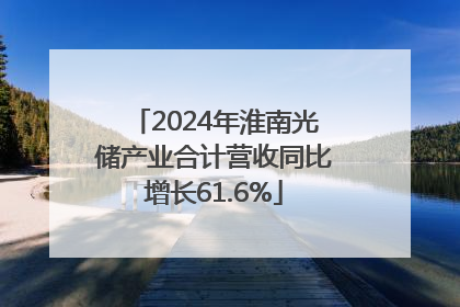 2024年淮南光储产业合计营收同比增长61.6%