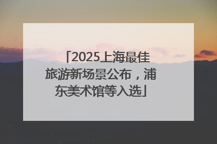 2025上海最佳旅游新场景公布，浦东美术馆等入选