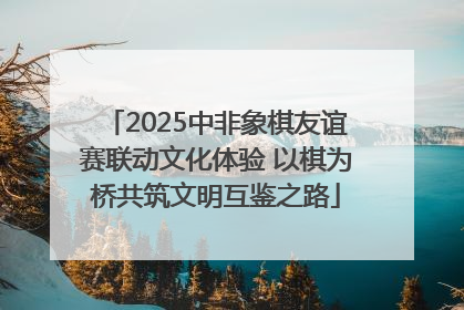 2025中非象棋友谊赛联动文化体验 以棋为桥共筑文明互鉴之路