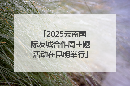 2025云南国际友城合作周主题活动在昆明举行