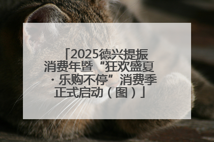 2025德兴提振消费年暨“狂欢盛夏・乐购不停”消费季正式启动（图）