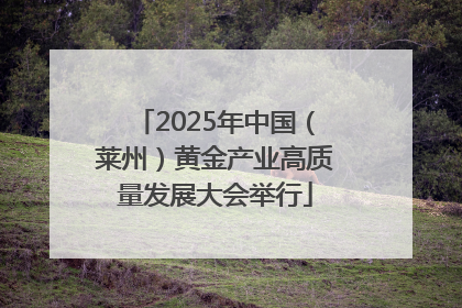 2025年中国（莱州）黄金产业高质量发展大会举行