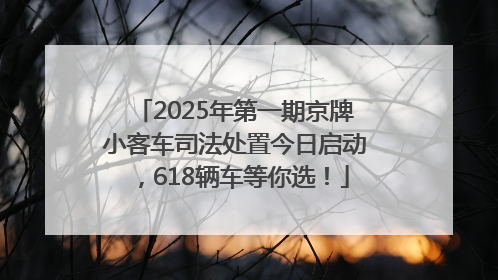 2025年第一期京牌小客车司法处置今日启动，618辆车等你选！
