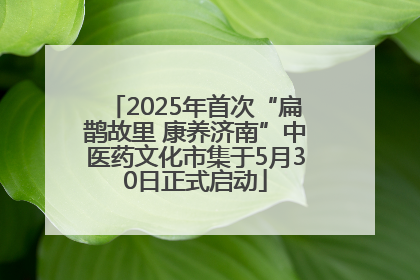 2025年首次“扁鹊故里 康养济南”中医药文化市集于5月30日正式启动