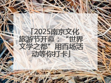 2025南京文化旅游节开幕：“世界文学之都”用百场活动等你打卡