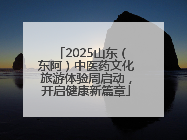 2025山东（东阿）中医药文化旅游体验周启动，开启健康新篇章