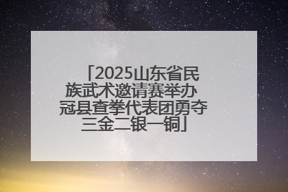2025山东省民族武术邀请赛举办 冠县查拳代表团勇夺三金二银一铜