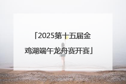 2025第十五届金鸡湖端午龙舟赛开赛