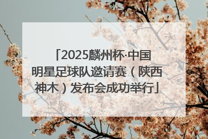 2025麟州杯·中国明星足球队邀请赛（陕西神木）发布会成功举行