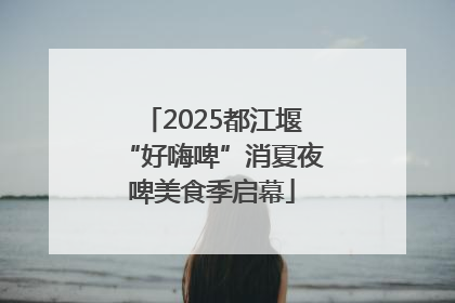 2025都江堰“好嗨啤”消夏夜啤美食季启幕