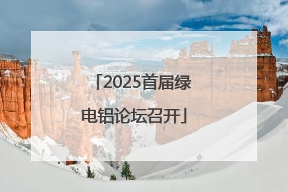2025首届绿电铝论坛召开