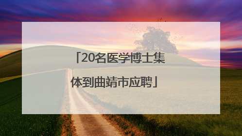 20名医学博士集体到曲靖市应聘