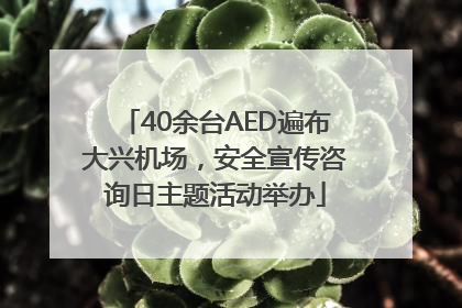 40余台AED遍布大兴机场，安全宣传咨询日主题活动举办