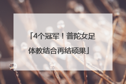 4个冠军！普陀女足体教结合再结硕果