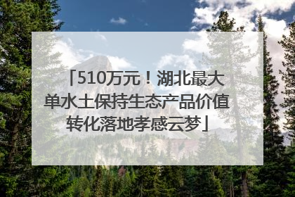 510万元！湖北最大单水土保持生态产品价值转化落地孝感云梦