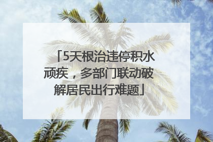 5天根治违停积水顽疾，多部门联动破解居民出行难题