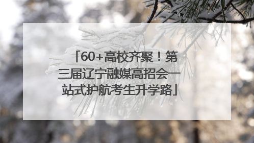 60+高校齐聚！第三届辽宁融媒高招会一站式护航考生升学路