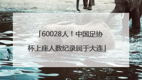 60028人！中国足协杯上座人数纪录属于大连