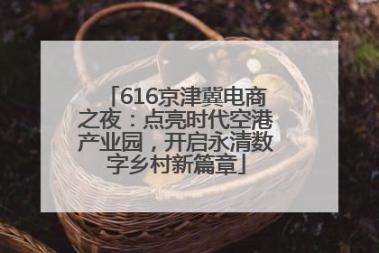 616京津冀电商之夜：点亮时代空港产业园，开启永清数字乡村新篇章