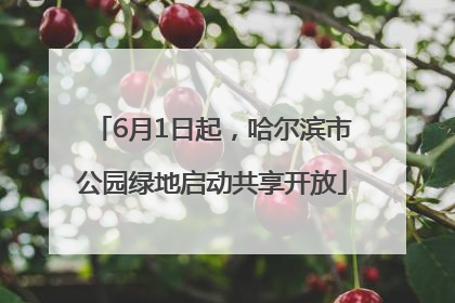 6月1日起，哈尔滨市公园绿地启动共享开放