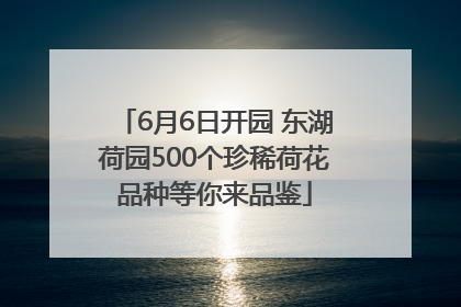 6月6日开园 东湖荷园500个珍稀荷花品种等你来品鉴