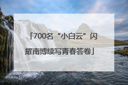 700名“小白云”闪耀南博续写青春答卷