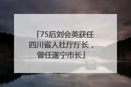 75后刘会英获任四川省人社厅厅长，曾任遂宁市长