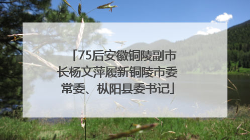 75后安徽铜陵副市长杨文萍履新铜陵市委常委、枞阳县委书记