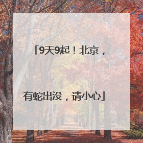 9天9起！北京，有蛇出没，请小心