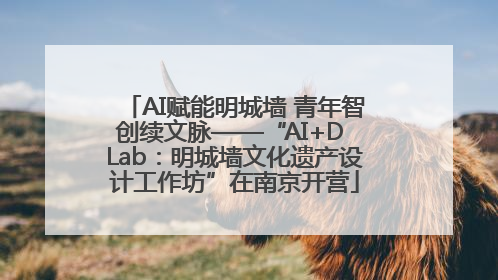 AI赋能明城墙 青年智创续文脉——“AI+D Lab：明城墙文化遗产设计工作坊”在南京开营