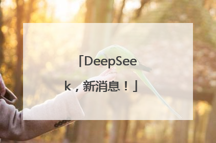 DeepSeek，新消息！