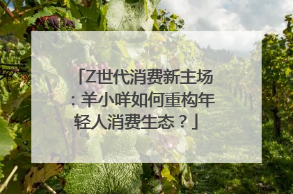 Z世代消费新主场：羊小咩如何重构年轻人消费生态？